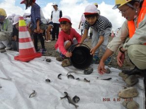 山女魚の放流